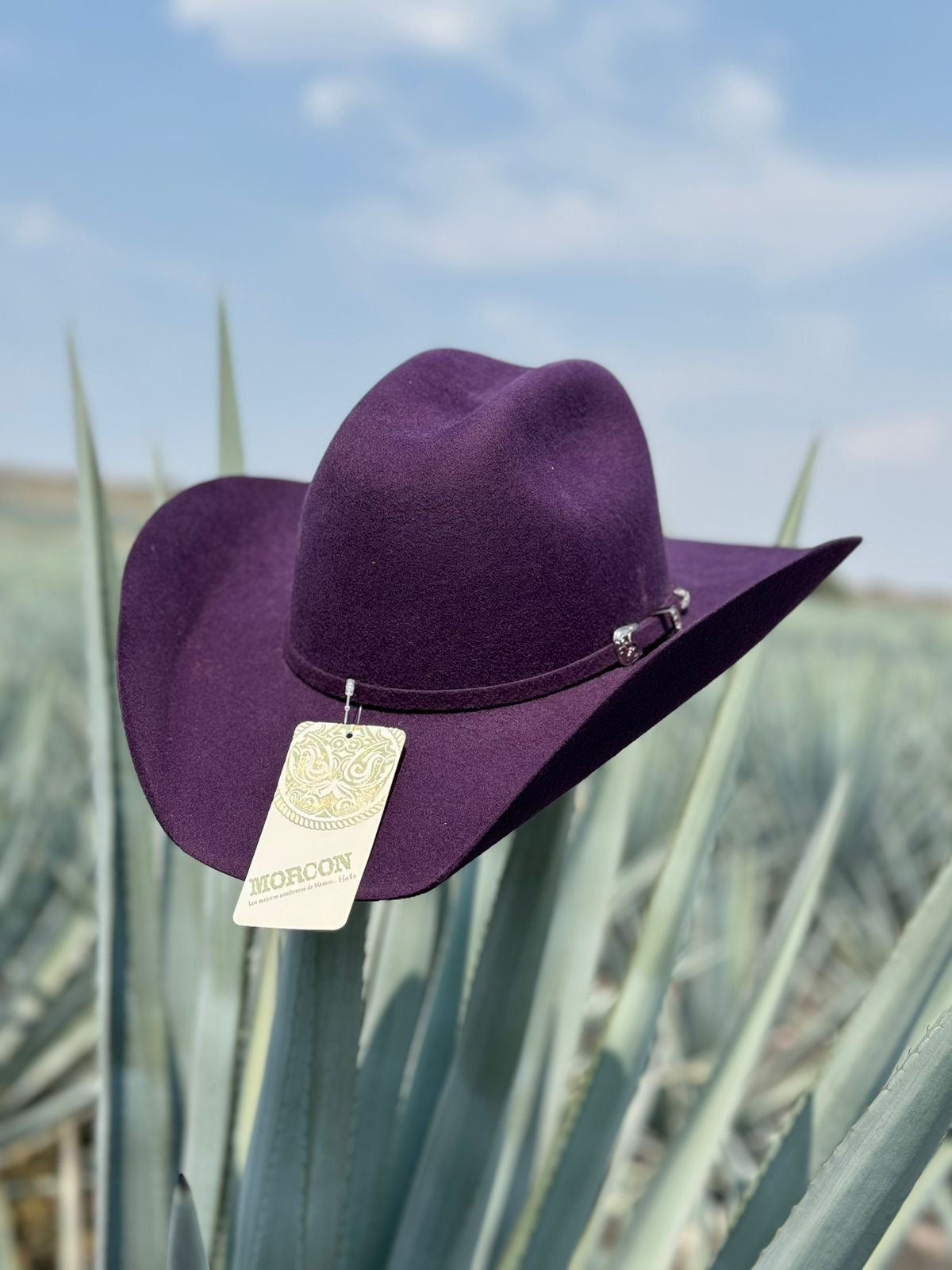 TEXANA MORADA