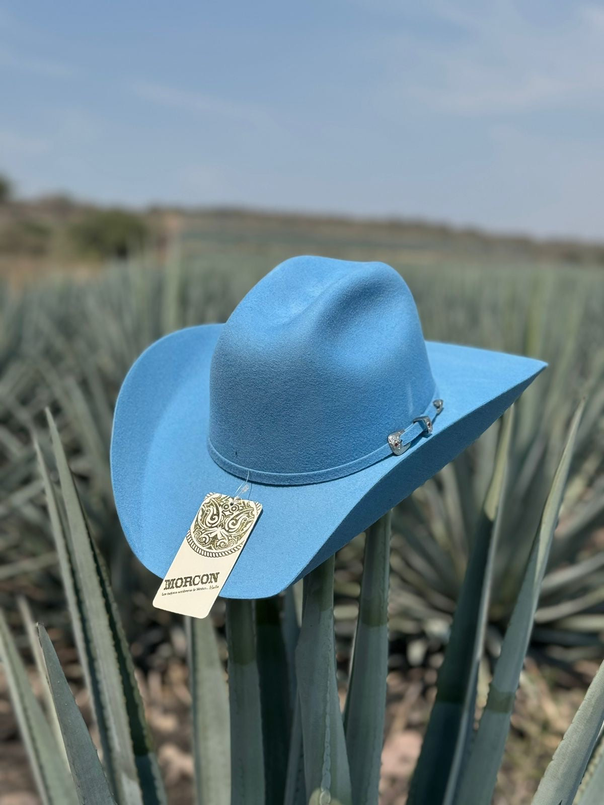 TEXANA AZUL