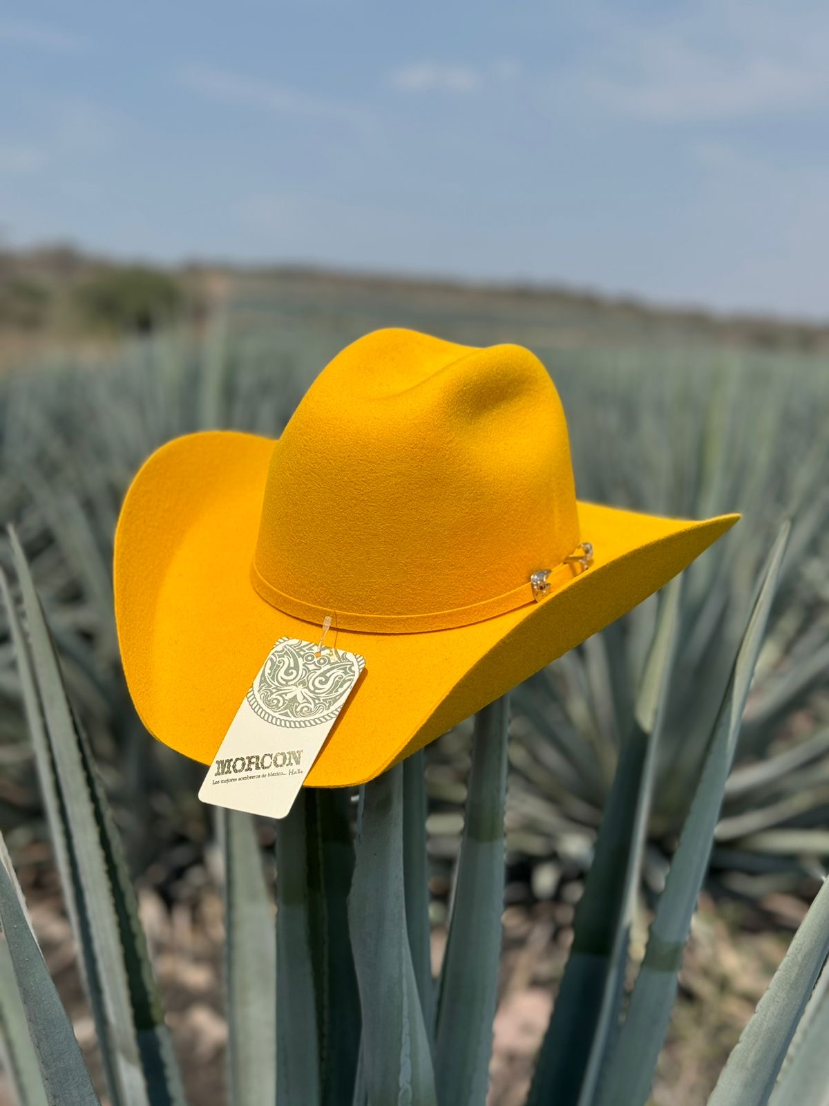 TEXANA AMARILLA