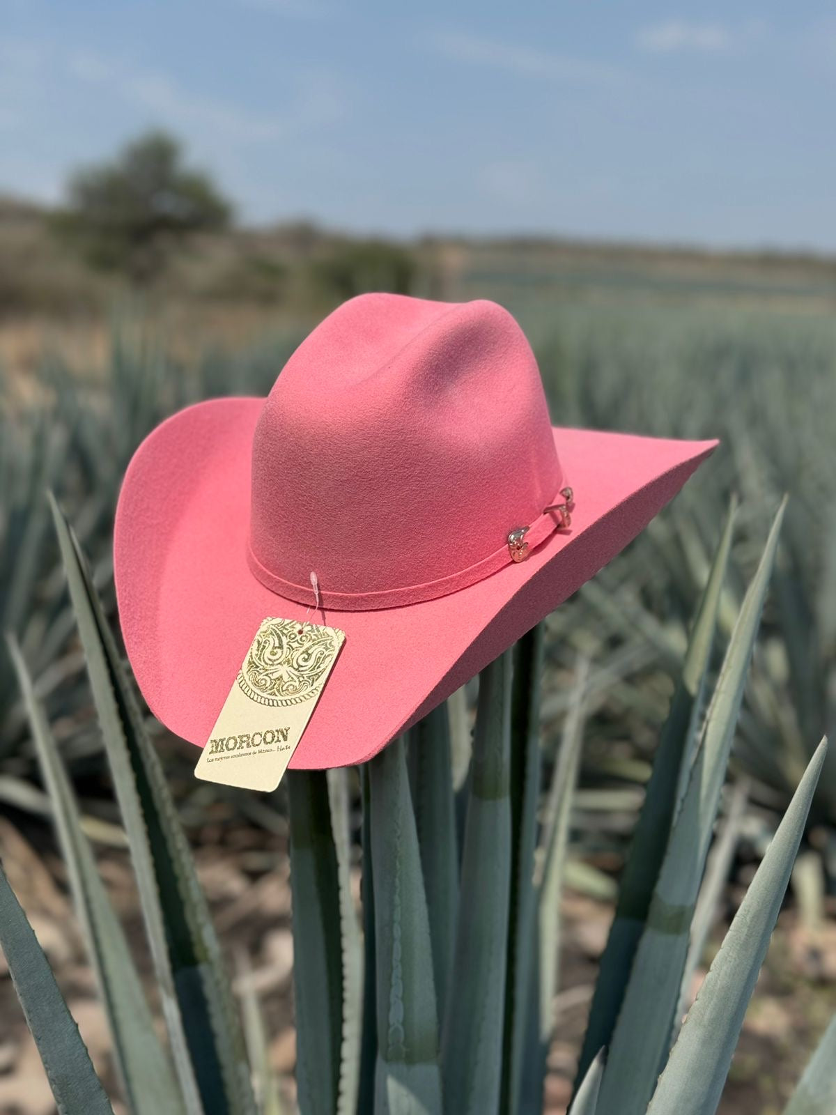 TEXANA ROSA